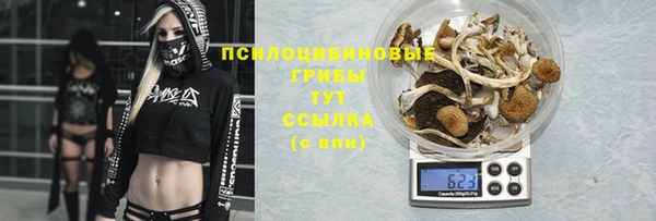 ПСИЛОЦИБИНОВЫЕ ГРИБЫ Абинск