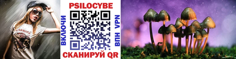 Галлюциногенные грибы мицелий  Болотное 